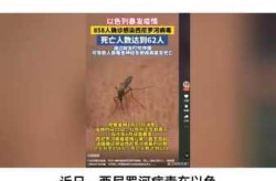 2020年疫情是什么病毒，2020年疫情的全名