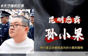 孙小果案涉及最大的官是谁？背后有何故事？