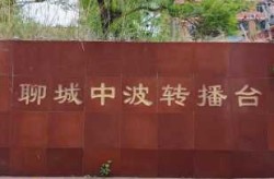 山东聊城新闻头条最新消息，聊城最近几天头条新闻