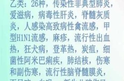 法定传染病2024年，2025年传染病分类最新
