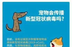 确诊者家中3只猫核酸阳性被安乐死（核酸阳性）