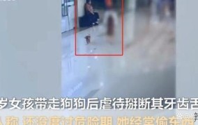 11岁女生独自在卫生间产子，事件背后的社会问题
