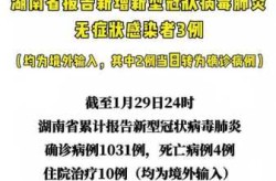 湖南新增2例本土确诊病例，湖南现有确诊病例