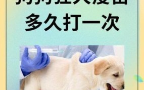 狂犬疫苗有效期是多久？过期后如何补种？