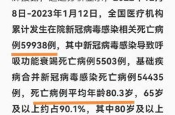 北京疫情放开死亡人数最新消息（湖北疫情最新消息）
