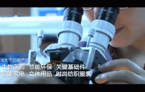 中国纺织经济信息网资讯：行业动态早知道