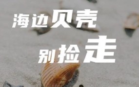 想成为贝壳的秘诀是什么？如何加入贝壳平台？