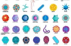 人类常见的30种病毒，100种常见的病毒