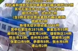 河北新增本土确诊1例无症状28例（31省市新增本土病例最新消息）