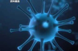 最近新出现的病毒叫什么，新冠后第二个病毒叫什么