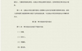 审计报告查询攻略，如何快速获取权威审计报告？