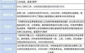 二胎新政策2024有哪些调整？