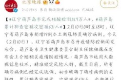 疫情最新数据消息今天新增葫芦岛（全国新冠疫情最新消息今天新增）