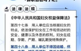 女子上班打伞被开除，职场权益如何维护？原因是什么？