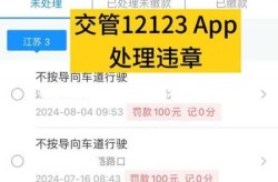 12123违章查询手机版，车辆违章查询系统12123