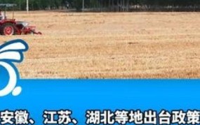 多地出台返乡新规定，哪些变化值得关注？