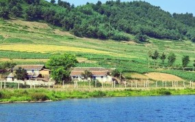 河口瑶族自治县有哪些旅游景点？当地风俗文化特色是什么？