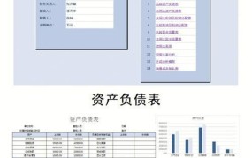 会计软件合法性分析,哪些软件可用？