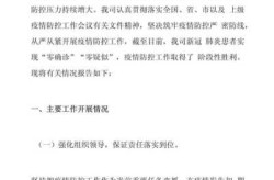 疫情防控工作总结开头，疫情防控工作总结