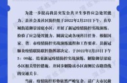 疫情政策开放是哪天开始的，疫情是啥时候放开的