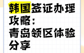 青岛韩国领事馆网站功能介绍与使用指南
