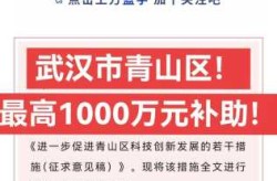 疫情补助1000元是真的吗（疫情补助发放政策规定2023）
