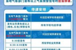 12月15号全国停工停课吗（台风几级停工停课）