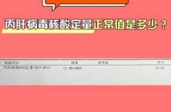 核酸报告多久才能拿结果出来，核酸检测多长时间才能出结果