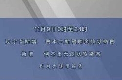 辽宁新增11例本土确诊病例（辽宁确诊病例）