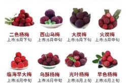 疫情查询程序中杨梅含量是啥意思（杨梅嘌呤含量是多少）