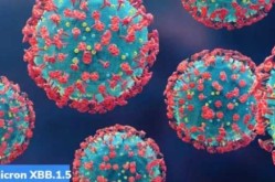 XBB在一地加速传播!近300万人感染...（一人感染两轮传染121人感染）