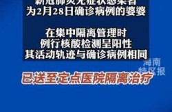 三亚新增1例确诊病例详情，三亚新增确诊病例