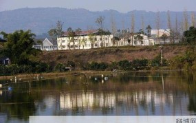 四川省营山县概况，了解当地风情人文
