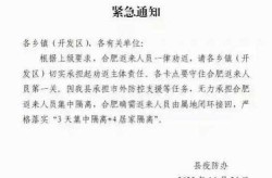 舒城疫情最新情况最新消息，全国疫情最新情况