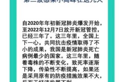 疫情爆发的时间是几月几日中国（疫情开始是几月几日）