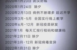 2025年元旦病毒爆发 是否与疫情相关（疫情爆发还是暴发）