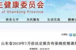 目前全国疫情最新消息，山东疫情最新消息2019