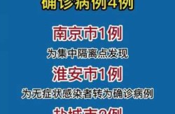 江苏新增确诊4例 其中本土2例（江苏新增20例本土确诊病例）