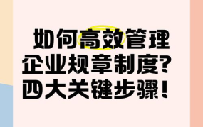 企业制度管理实战技巧，如何提升管理效率？