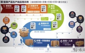 赋码是什么意思及如何应用？赋码技术在哪些领域有重要作用？