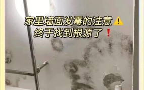 墙面发霉怎么办？家居清洁小妙招