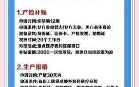单独二胎政策2024年更新，哪些变化值得关注？