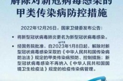 回国隔离政策最新2022年12月份，9月份回国隔离政策最新