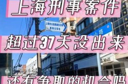 昨晚上海发生惊天一幕，上海昨晚发生重大刑事案件