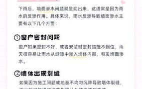 内墙墙壁渗水如何高效解决？有哪些预防措施？