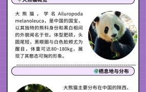 大熊猫的外形特点有哪些？大熊猫生活习性及保护措施？