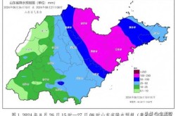 山东新冠病毒最新情况，山东省新冠疫情最新情况