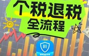 2024年个人所得税退税申请流程是什么？怎样提高退税成功率？