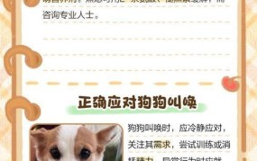 警队幼犬吃药不哭不闹，训练有何秘诀？