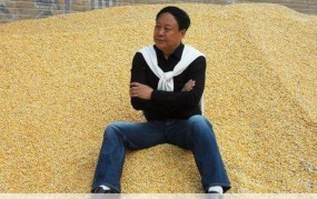 保定政府抢大午集团真相：事件后果与影响分析